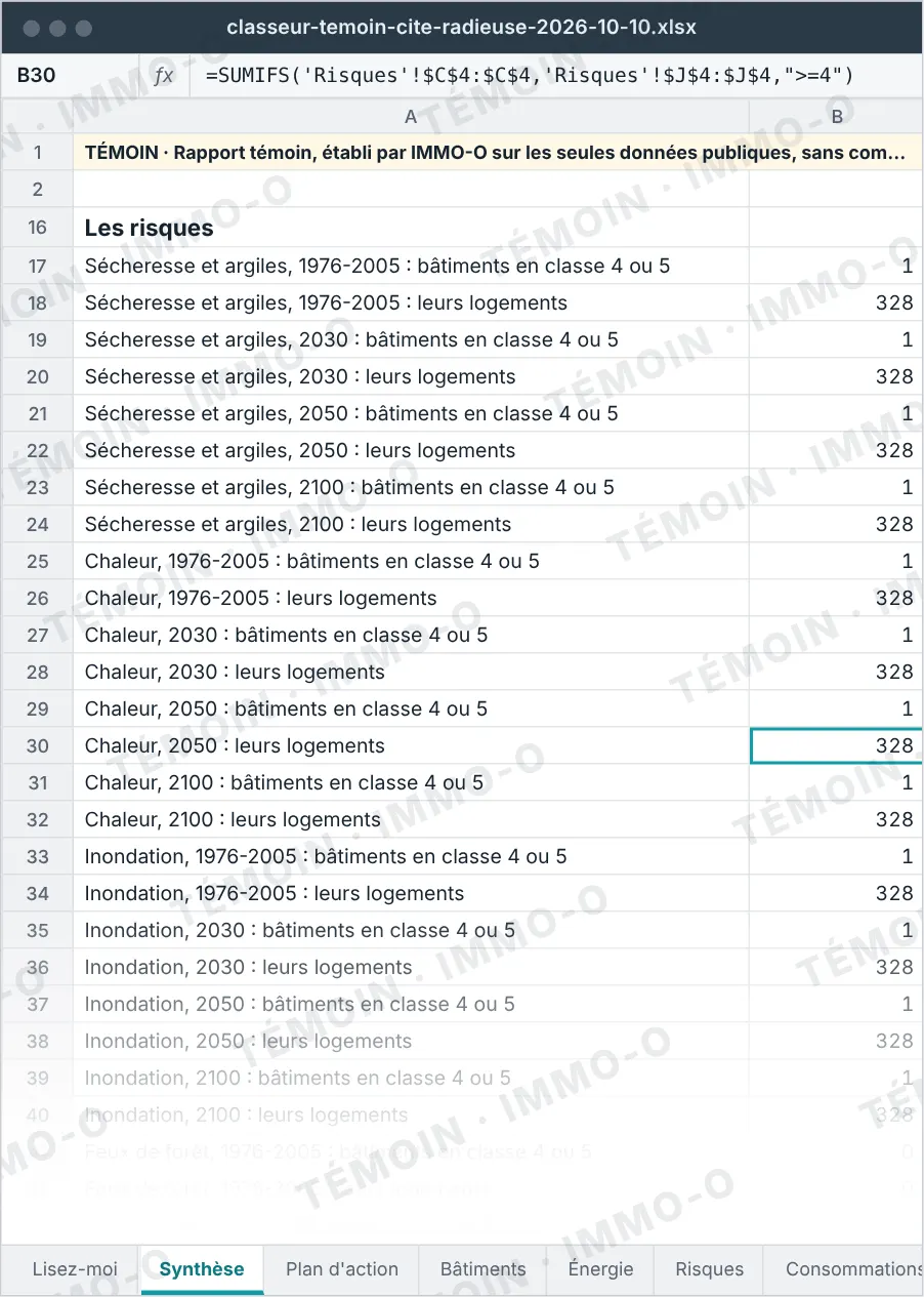 Capture du classeur : la feuille Synthèse, avec une formule SOMME.SI.ENS dans la barre de formule